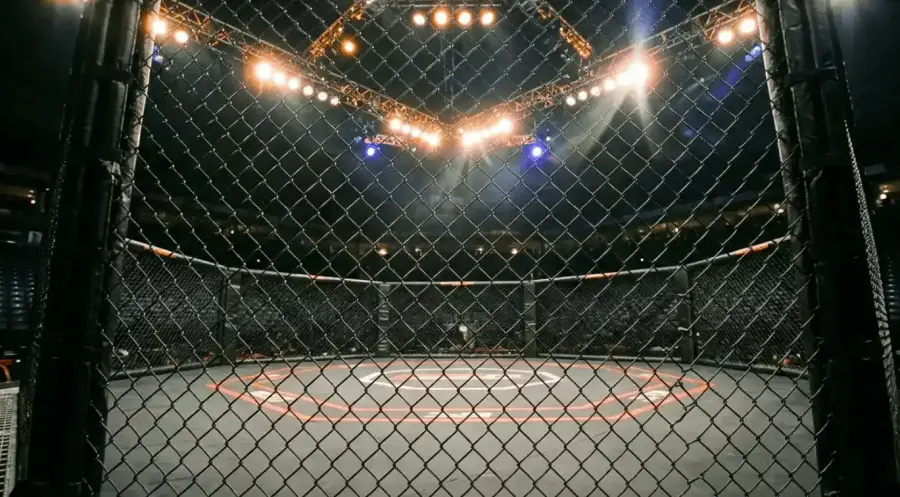 Scommesse mma